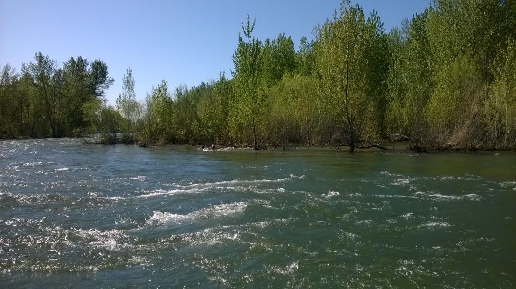 high water Boise River