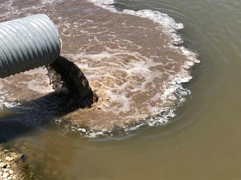 Parma Rancher Tackles Water Quality Boise River Enhancement Network