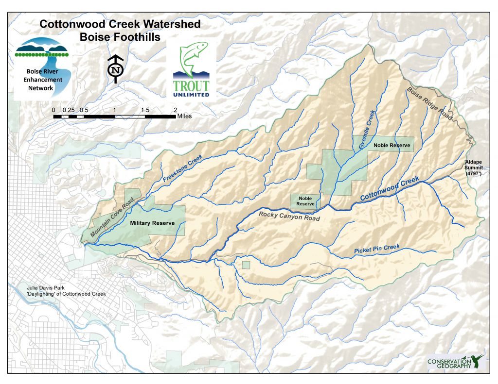 Cottonwood Creek “A Great Source of Trouble and Expense” Boise River