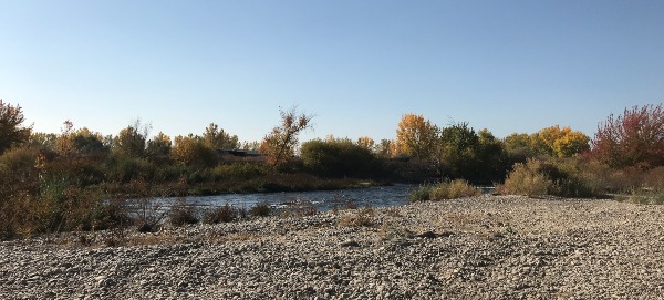 Boise River and shoreline
