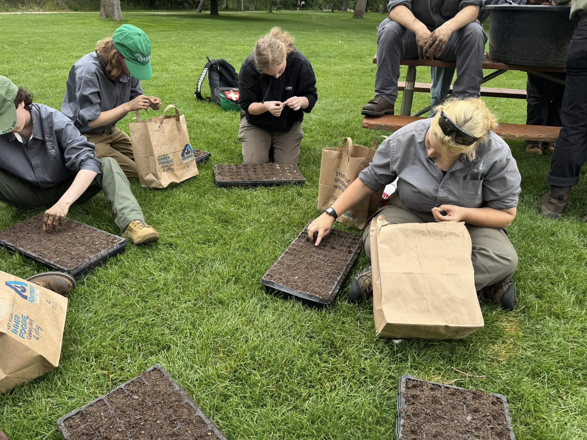 volunteers planting seeds